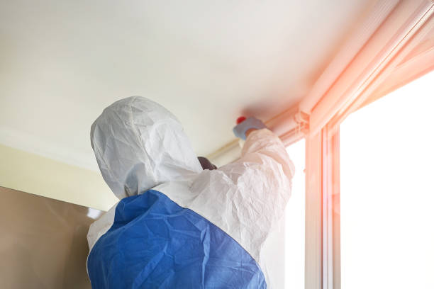 Best Residential Mold Inspection & Testing  in Cedartown, GA